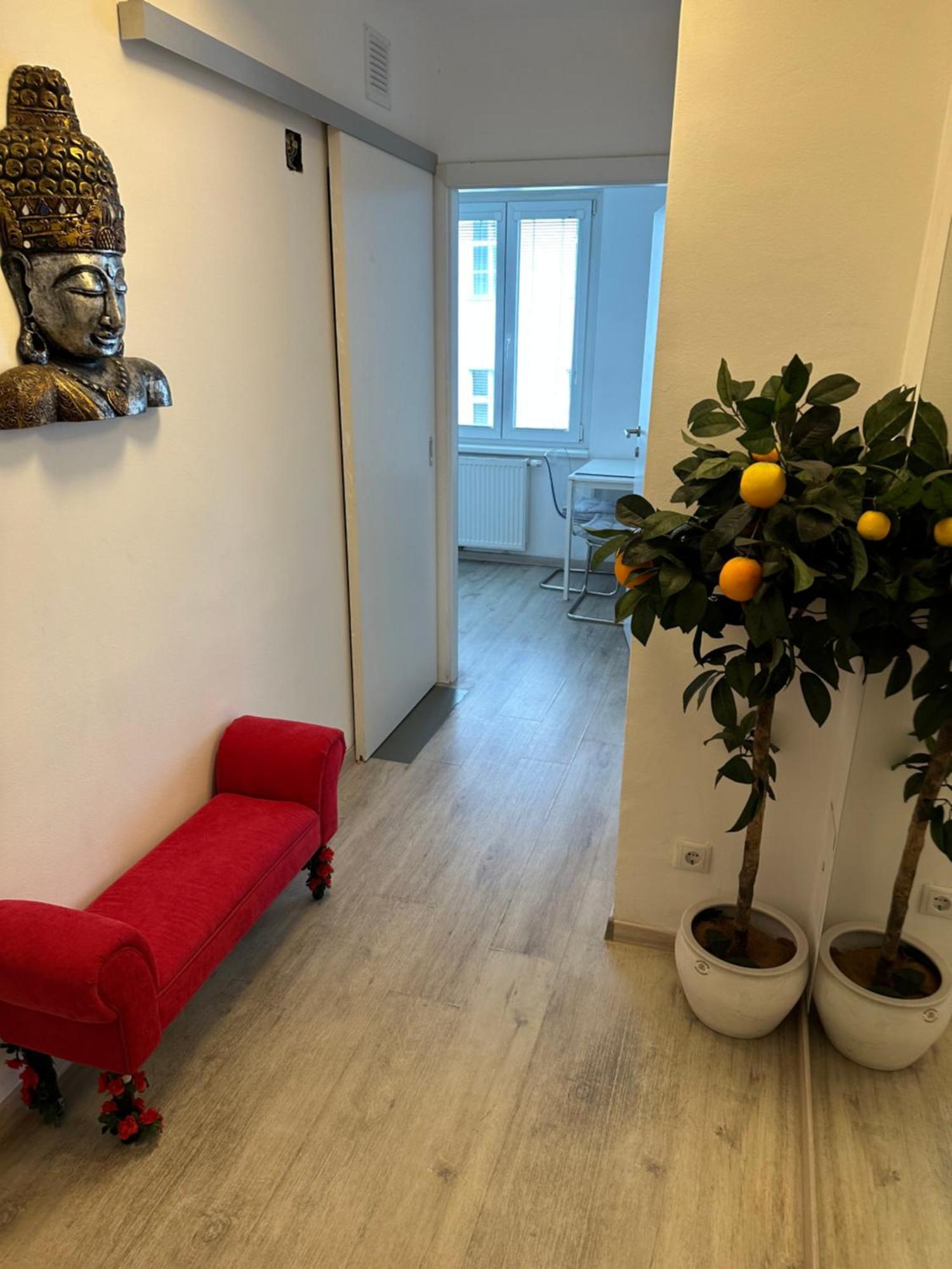 Apartment Opera Вена Экстерьер фото